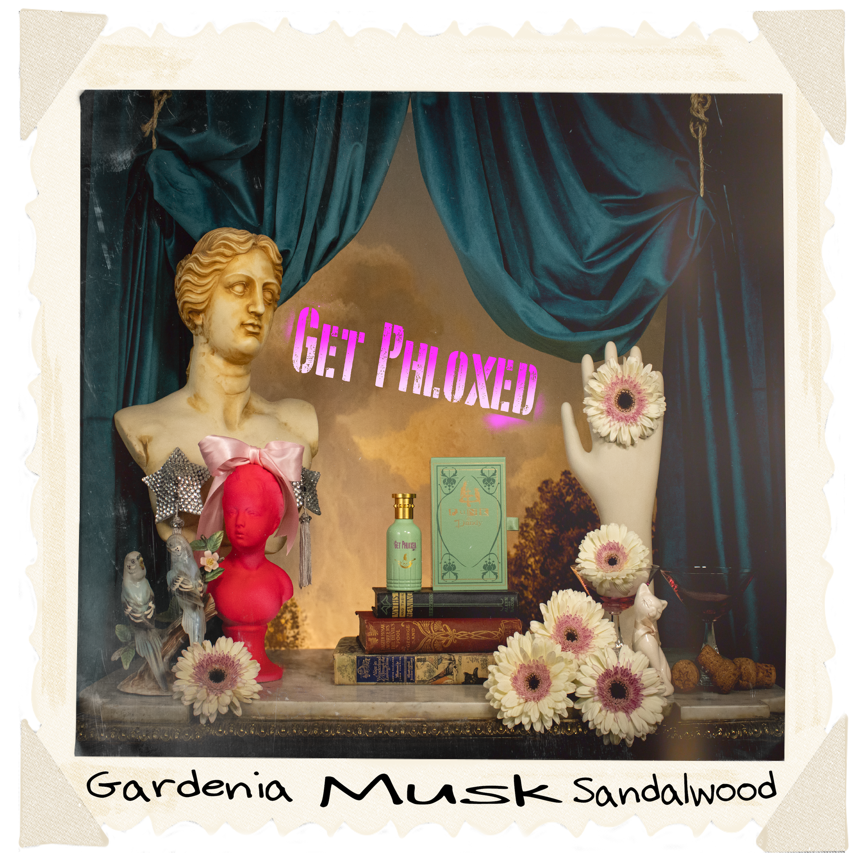 Get Phloxed