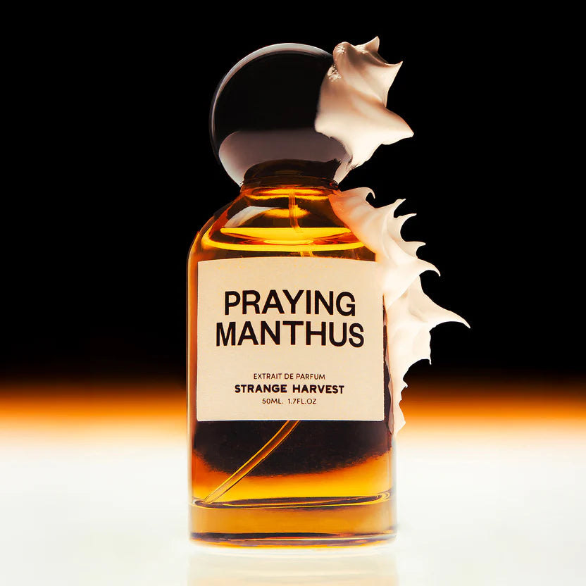 Praying Manthus
